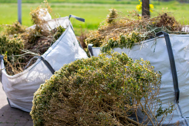 Best Construction Debris Removal  in Davis, OK